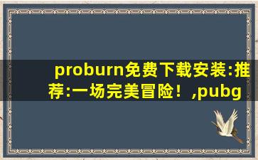 proburn免费下载安装:推荐:一场完美冒险！,pubg mobile anproip apk